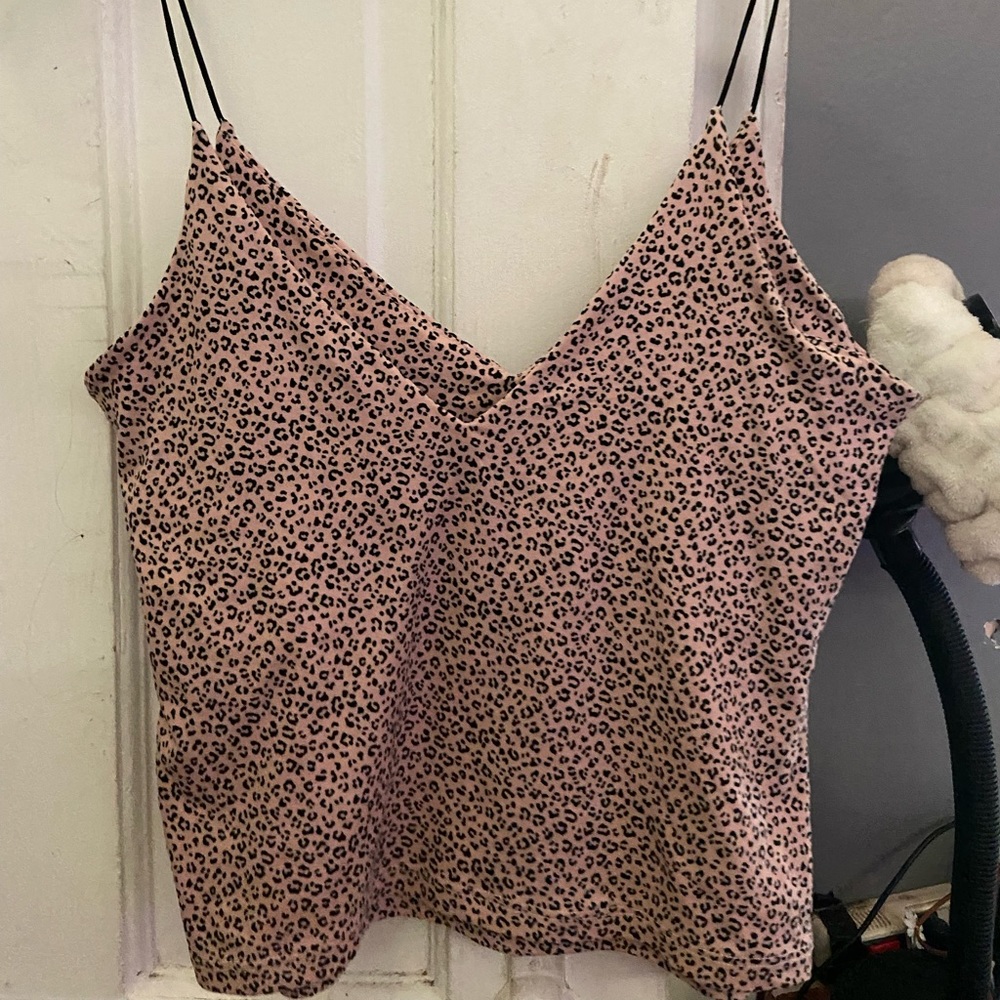 Zara Leopard Print V Neck